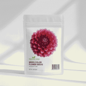 Pack of 30 premium Dahlia flower seeds