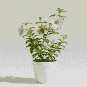 Chocolate Swirl Allamanda Flower Plant – Exotic Brown & Yellow Blooms (Pack of 1)