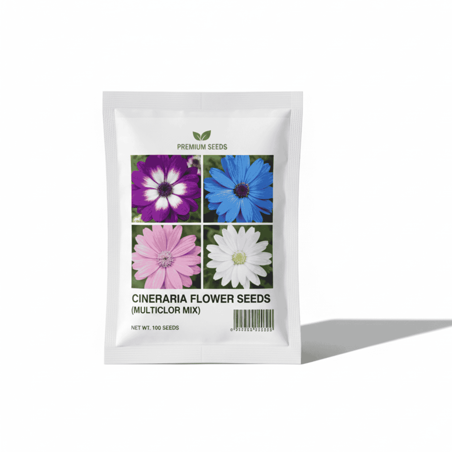 Cineraria Flower Seeds (Multicolor Mix)