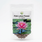 Pink Lotus Flower Seeds pack