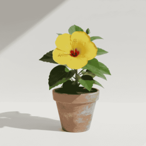 Yellow Hibiscus (Gudhal) Flower Plant – Bright Indoor & Outdoor Blooms