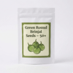 Green Round Brinjal Seeds pack – 50+ seeds for home gardening