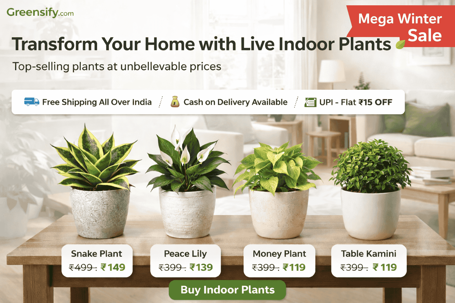 Mega Winter sales at greensify.com